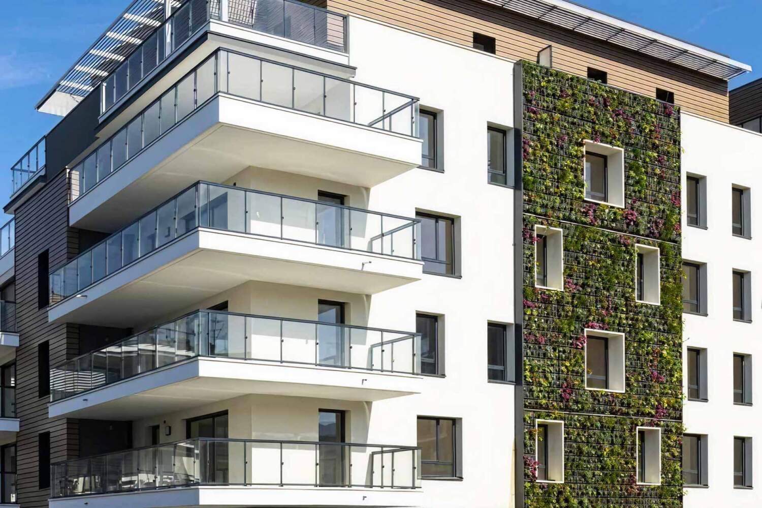 Photo d'une façade végétalisée - aménagement d'espace vert pour professionnel