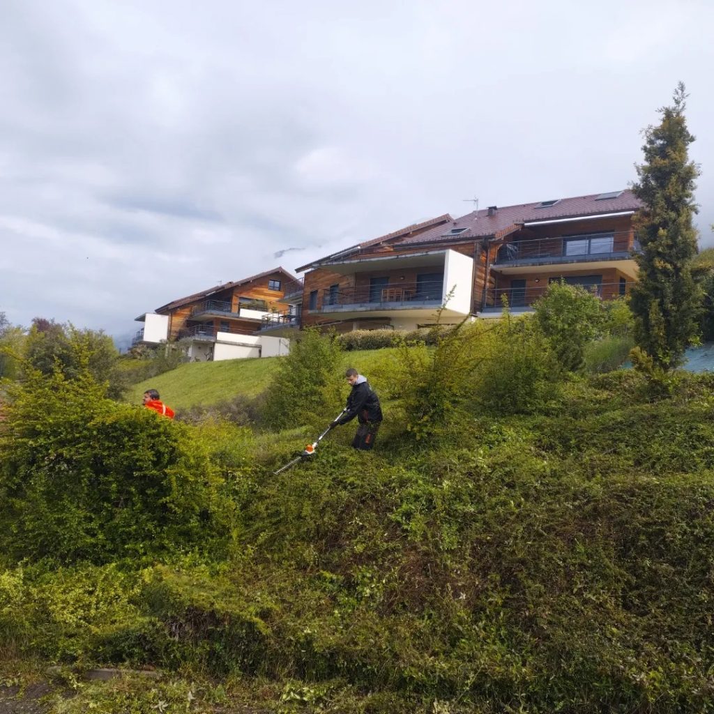 Photo de paysagistes entrain de tailler une haie pour une copropriété