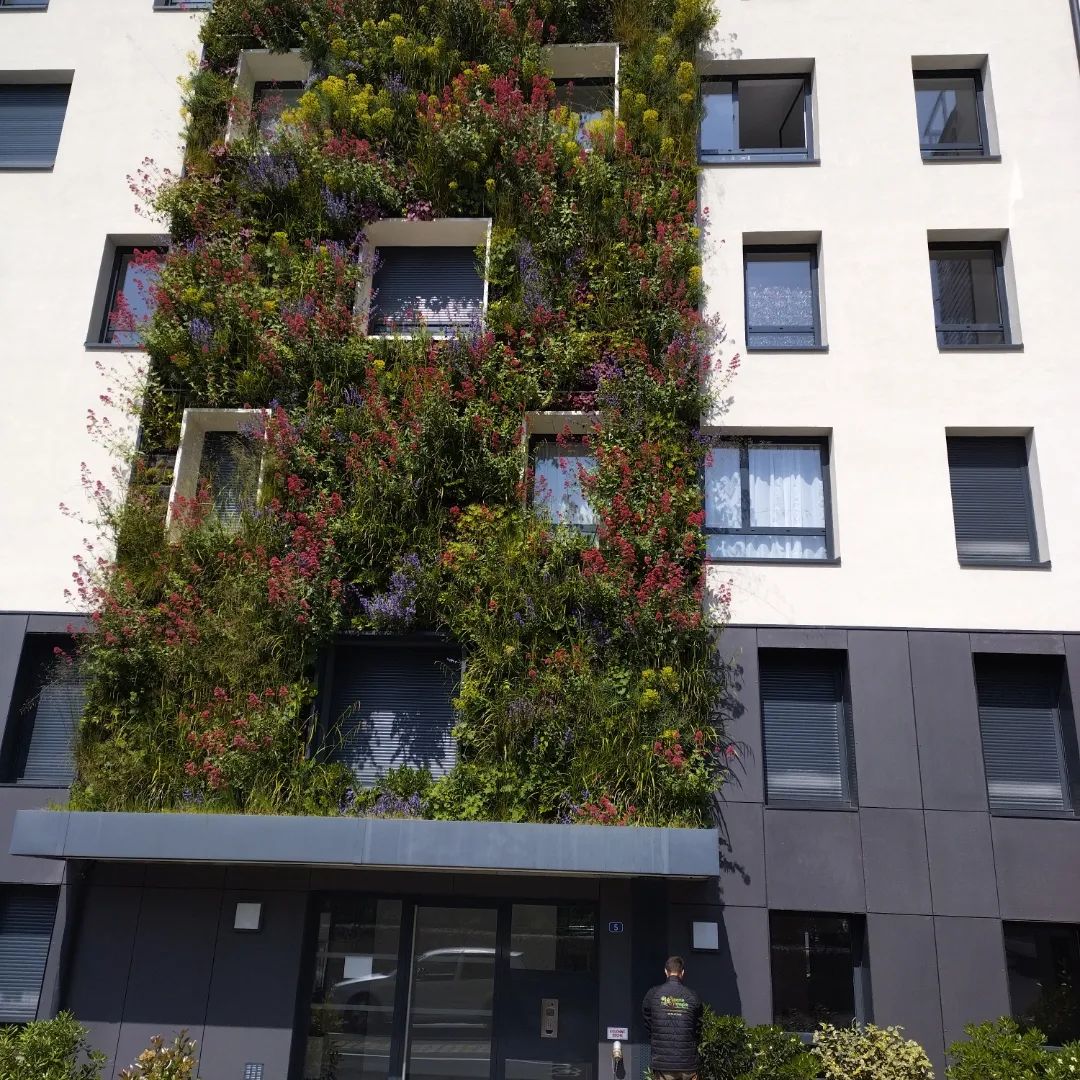Photo d'une façade végétalisée