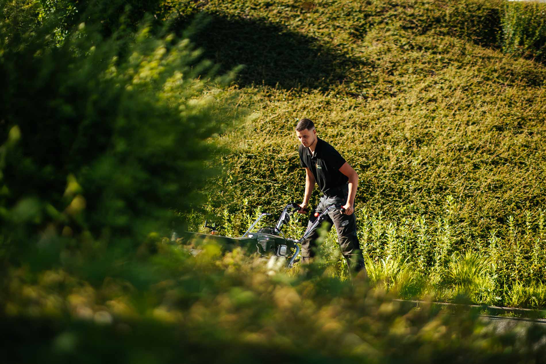 Photo d'un paysagiste entrain de réaliser une maintenance paysagère à Annecy
